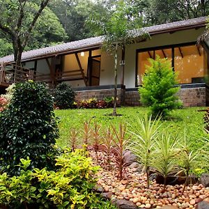 The Ibnii - Eco Luxury Resort